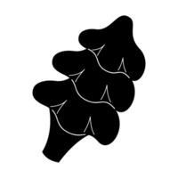 A conifer in black and white colors. Clip art for your projects. vector