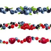 Berry lines seamless pattern horizontal realistic vector