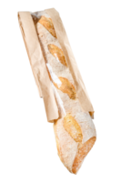 Fresh baguette in a paper craft bag. gray background. top view png