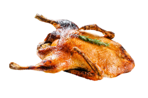 Baked duck stuffed with oranges and rosmarina. Festive table. Gray background. Top view png