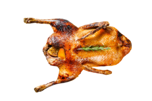 Baked chicken stuffed with oranges and rosmarina. Festive table. Gray background. Top view png