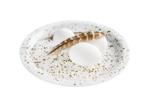 White background with white eggs and feathers. White background. Top view png