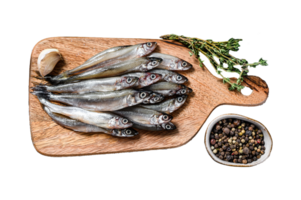 Fresh raw sea small fish smelt. Gray background. Top view png