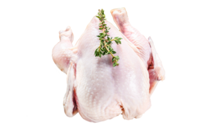 Whole raw Free range chicken with thyme and spices. White background. Top view png