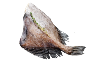 Raw fresh whole John Dory fish with spices and herbs for cooking. Black background. Top view. png