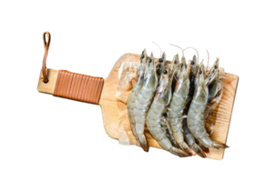 Fresh raw giant langoustine shrimp . Gray background. Top view. Copy space png
