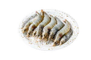 Fresh raw giant langoustine shrimp on a white plate. Gray background. Top view png