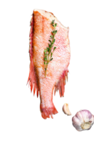 Raw red sea perch on a stone Board with thyme. Black background. Top view png