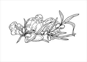 Sea buckthorn berries with ginger root slices realistic graphic sketch illustration. Natural organic food ingredients monochrome flat for healthy product package design, cookbook. vector