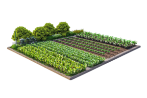 A lush vegetable garden featuring neatly arranged rows of various crops and greenery, complemented by several trees. png