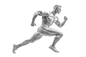 A dynamic male figure in motion, showcasing muscular definition and athleticism while running forward. png