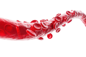 A detailed representation of a blood vessel with flowing red blood cells, showcasing their dynamic movement and structure. png