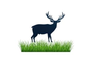 A silhouette of a deer standing on lush grass, showcasing its majestic antlers. png