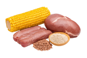 A selection of fresh, uncooked meats, corn on the cob, and a variety of grains arranged together for culinary presentation. png