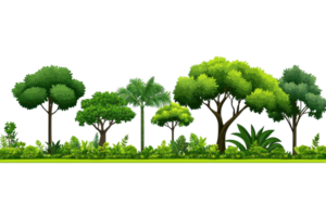 A collection of various green trees showcasing different shapes and sizes, surrounded by lush foliage. png