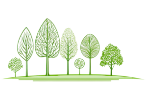 A variety of stylized green trees displayed in different shapes and sizes, showcasing their unique leaf patterns and structures. png