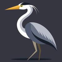 Stylized Bird Illustration Long Beak on Gray Background. vector