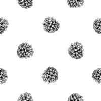 Pine, fir, cedar cone, spruce apple. seamless pattern hand drawn with ink. Element of coniferous, evergreen forest tree. Decorative clipart for Christmas, New Year prints, eco goods, packaging vector