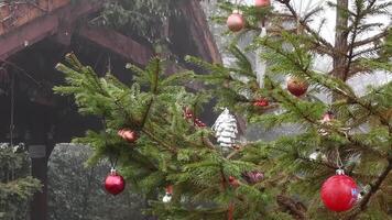 Holiday background. Baubles hanging at conifer tree swaying by wind in foggy weather. Rain instead of snowing in winter due to climate change and global warming. Christmas ornaments on xmas tree video