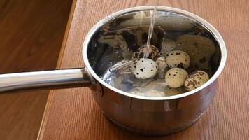 Slow motion of water pouring into sauce pot with tiny spotted quail eggs. Water jet pouring and making bubbles in stainless steel sauce pot with boiled eggs. Healthy food preparation video