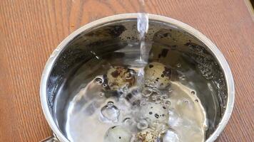 Slow motion of water pouring into metal pot with tiny spotted quail eggs. Ready for cooking. Splashing water jet with bubbles in pot with boiled eggs in transparent water. Healthy food preparation video