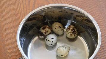 Slow motion of water pouring into metal pot with tiny spotted quail eggs. Ready for cooking. Splashing water jet with bubbles in pot with boiled eggs in transparent water. Healthy food preparation video