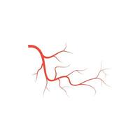 A red branch with a white background vector