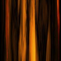 A blurry image of a fire in the dark vector