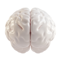 Neuroplasticity and cognitive development in science png