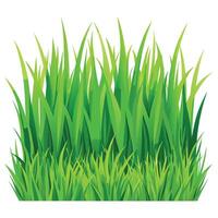 Vibrant Grass Texture for Endless Backgrounds vector