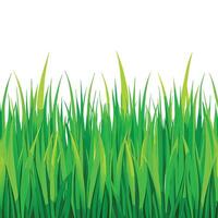 Smooth and Vibrant Grass Seamless Pattern Background vector