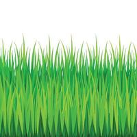Rich Green Grass Texture for Continuous Backgrounds vector