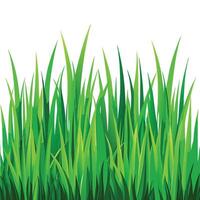 Fresh and Lively Green Grass Seamless Pattern vector
