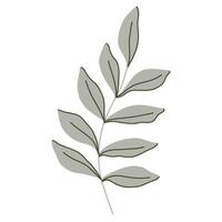 Elegant minimalist botanical illustration of green leaves with subtle line art. Created in a modern flat style with neutral tones. Perfect for eco-friendly designs, logos, and digital art vector