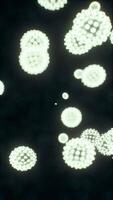 virus en dessous de le microscopique vue pour éducation video