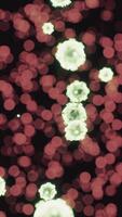 viruses under the microscopic view for education video