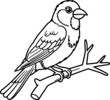 Canary Bird Sitting on Branch vector