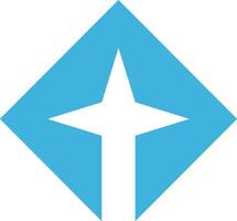 Decorative rhombus shape with a star vector
