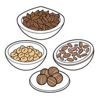 Assorted Dry Food in Bowls with Nuts, Seeds and Almonds vector