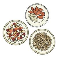 Three bowls of nuts and seeds on a white background vector