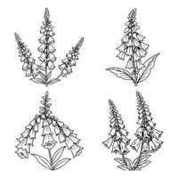 Foxglove flower outline coloring book page line art drawing for children and adults vector