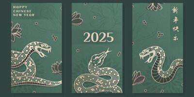 Happy Chinese New Year 2025 card design set. Geometric style snakes and flowers on green noisy background. Chinese text translation - Happy New Year vector