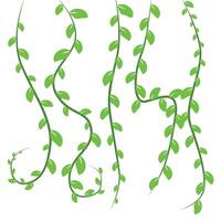 Vines Graphic Illustration vector