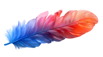 a colorful feather on a transparent background png