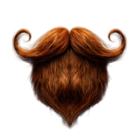 realistic realistic beard with curly hair on transparent background png
