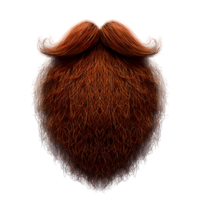 realistic beard with mustache on transparent background png
