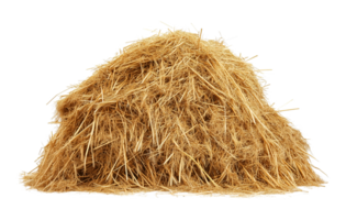 Pile of Hay Haystack Isolated on Transparent Background png