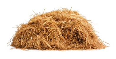 Hay Pile Haystack Isolated on Transparent Background png