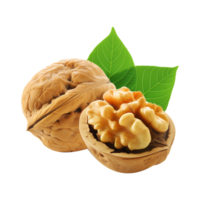 Fresh walnut with leaf on transparent background png