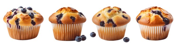Four delicious blueberry muffins arranged in a row on a white background png